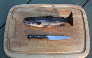 ckaras-rainbow-trout-80339